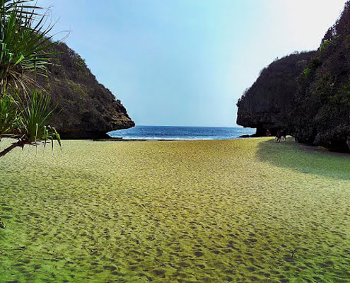 Pantai Greweng Yogyakarta